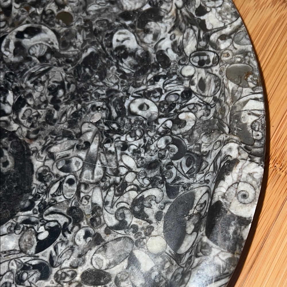 AMMONITE PLATE - Picture 5 of 10